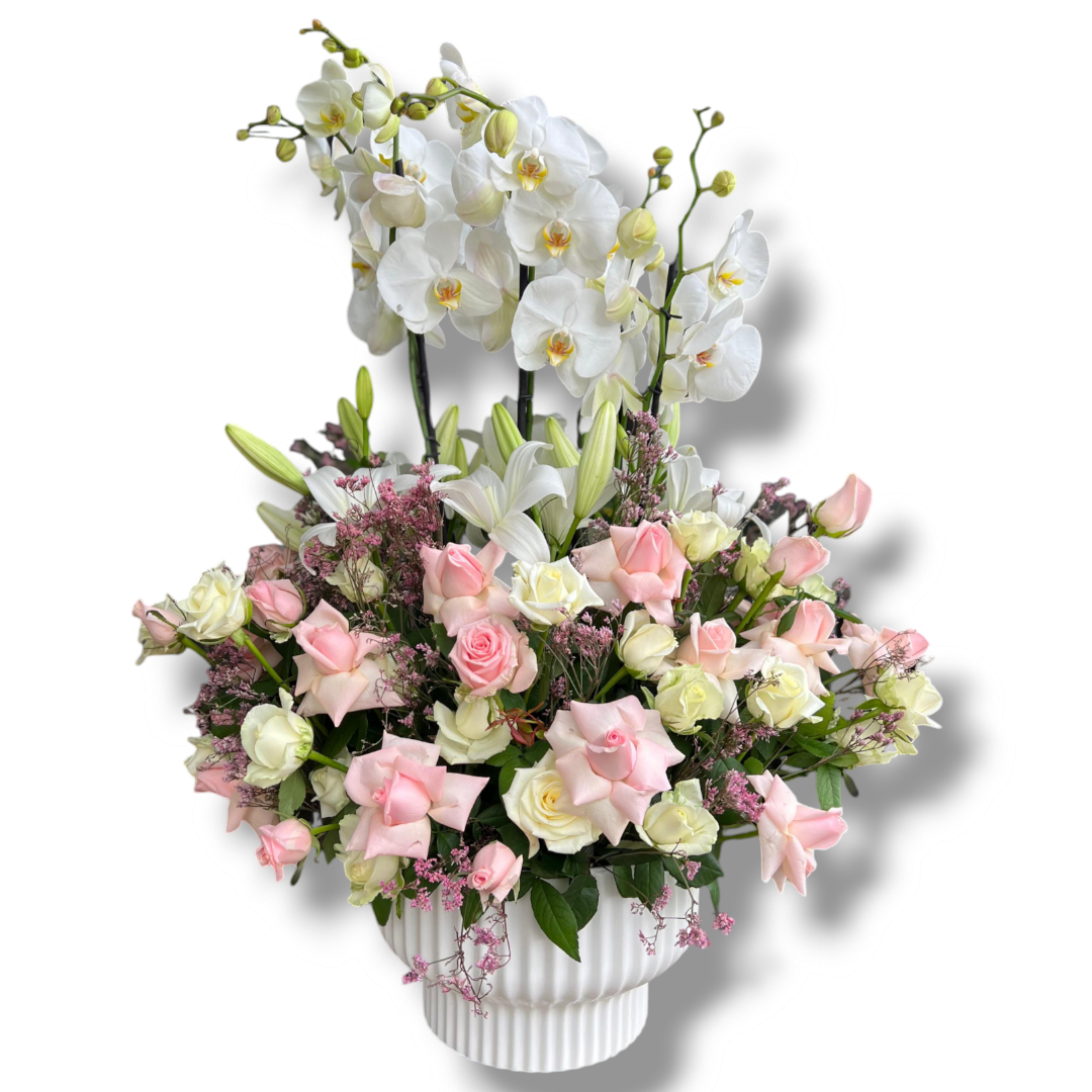 Multi colors for all occasions